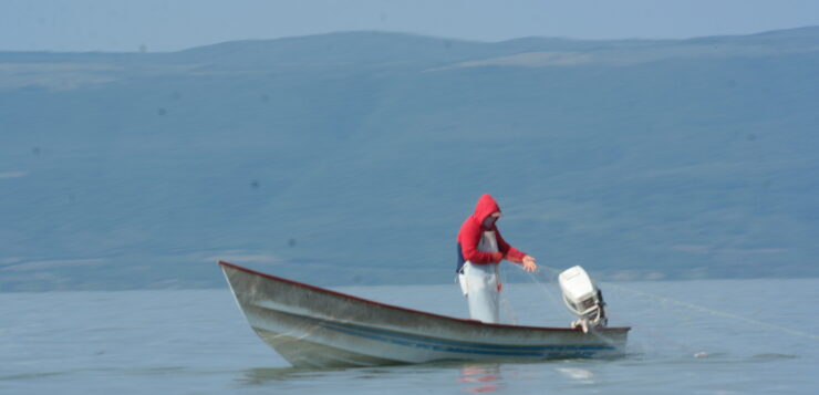 Fish shortage in Lake Chapala blamed on illegal poaching and alien species