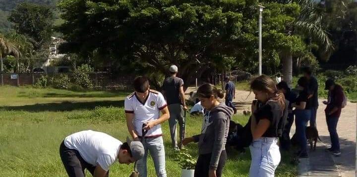 Reforestation actions carried out in San Juan Cosalá near boardwalk