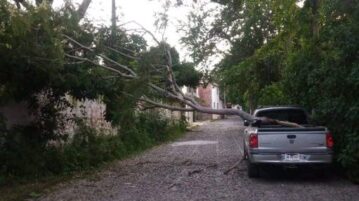 Tree branch falls on pickup truck in San Antonio Tlayacapan