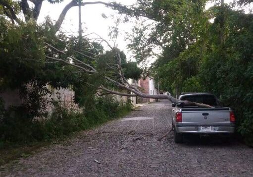 Tree branch falls on pickup truck in San Antonio Tlayacapan