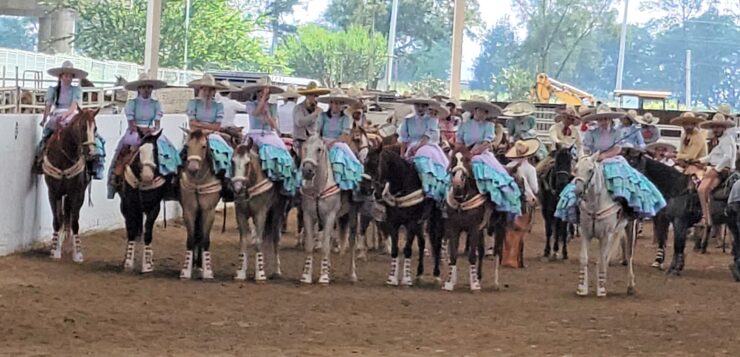 Mariachis and horses: the International Mariachi Festival begins