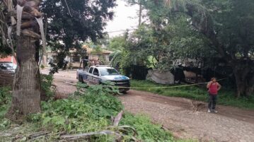 Expat dies on on Chapala-Jocotepec highway near Ajijic