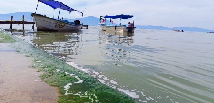 Lake Chapala's water level has dropped one centimeter in the last week