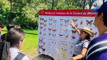 Explore Jocotepec’s butterfly farm