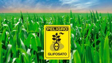 Mexico reaffirms commitment to ban glyphosate