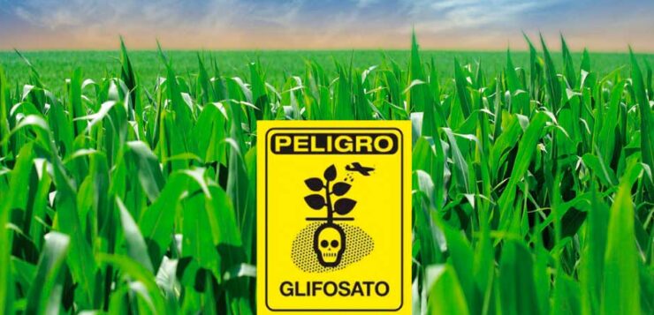 Mexico reaffirms commitment to ban glyphosate