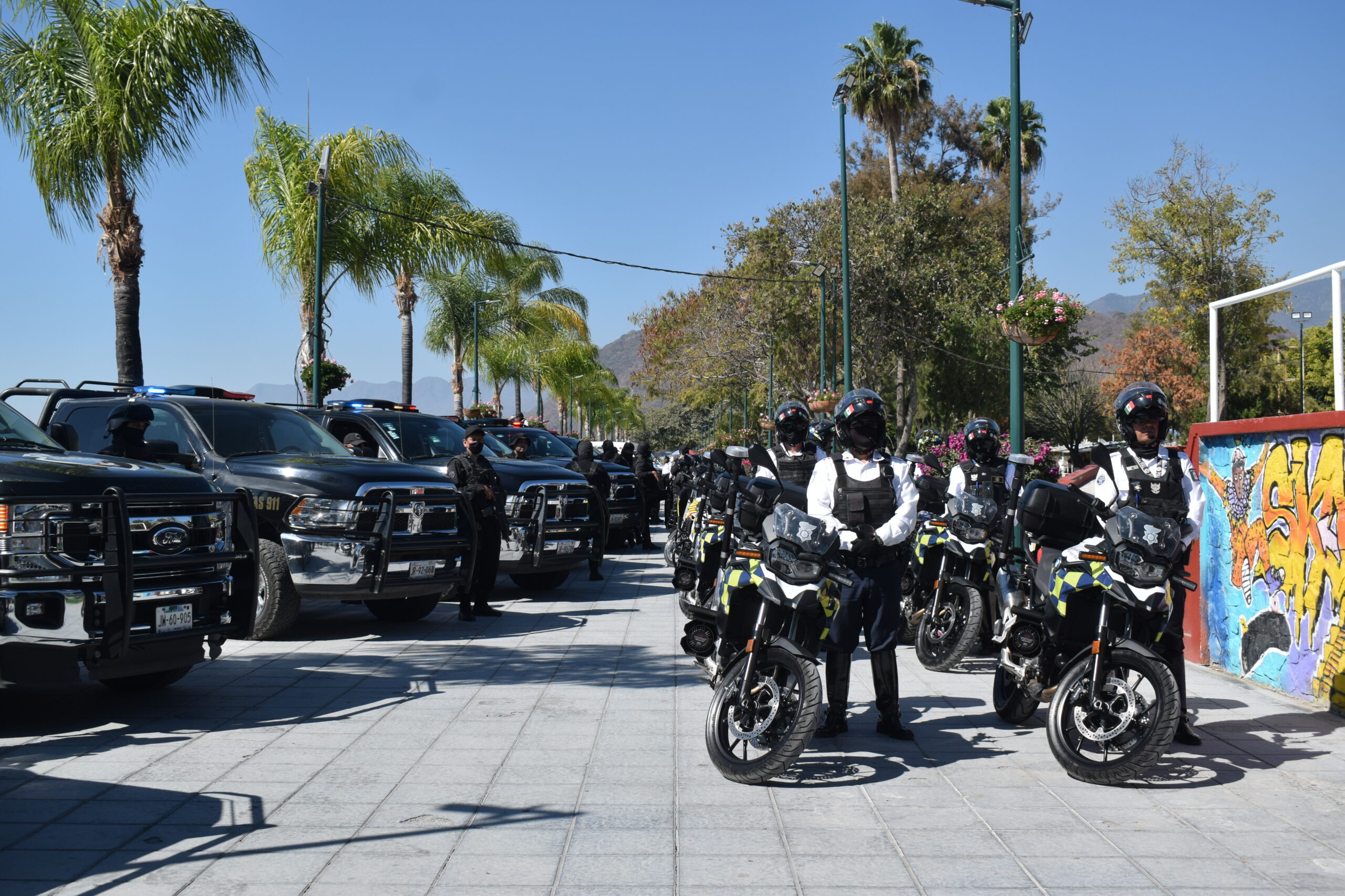 Security forces show their muscle during the Guadalupe - Reyes operation