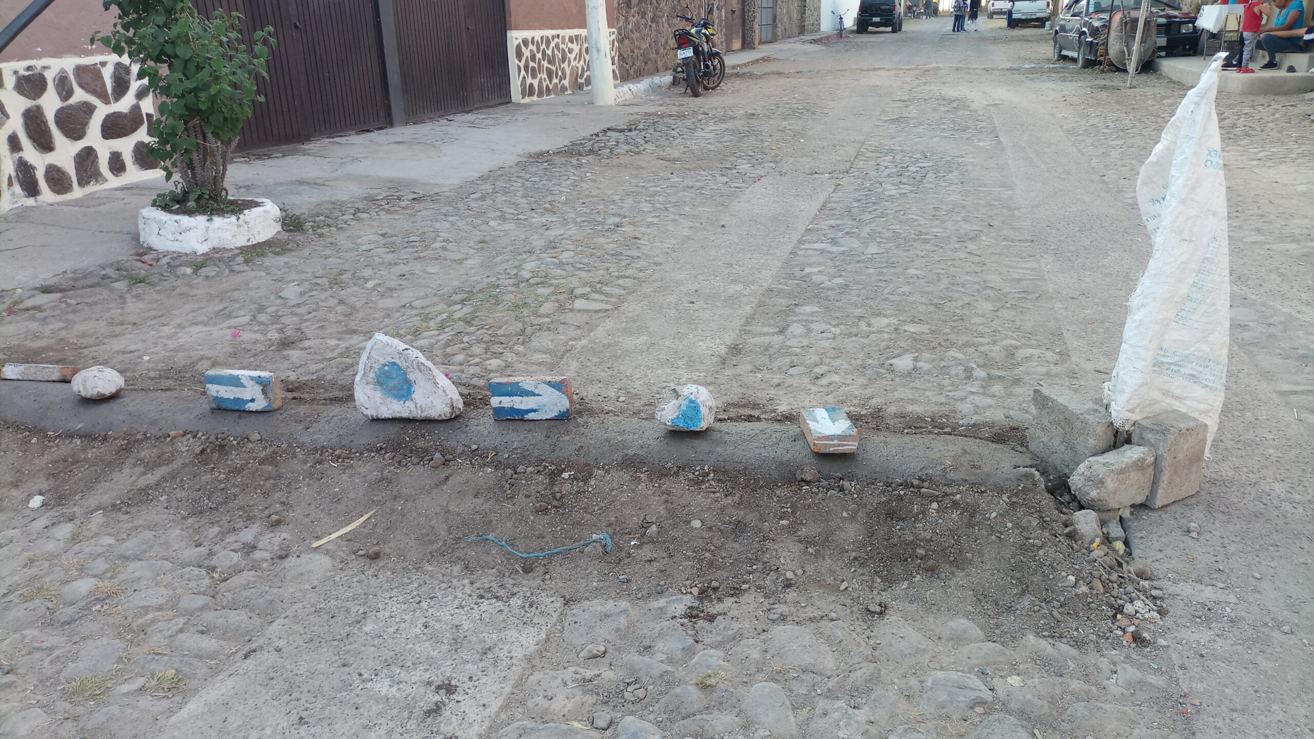 PHOTONOTE Improvised speed bumps in San Juan Cosalá