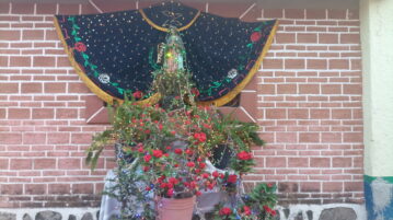 PHOTO GALLERY San Juan Cosalá residents decorate Guadalupana altars