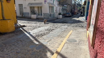 Be careful with your Ajijic holiday street parties