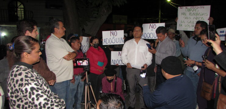 Opponents of Ocampo paving stones seek help from governor Alfaro Protestors brought a petition directly to the governor