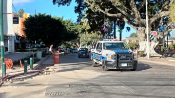 Due to complaints, planter removed from Chapala’s main avenue