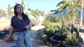 Small scale mixed cropping reintroduced at Chapala High School