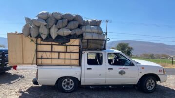 Driver arrested for transporting charcoal without authorization