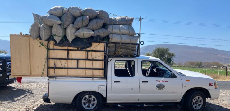 Driver arrested for transporting charcoal without authorization