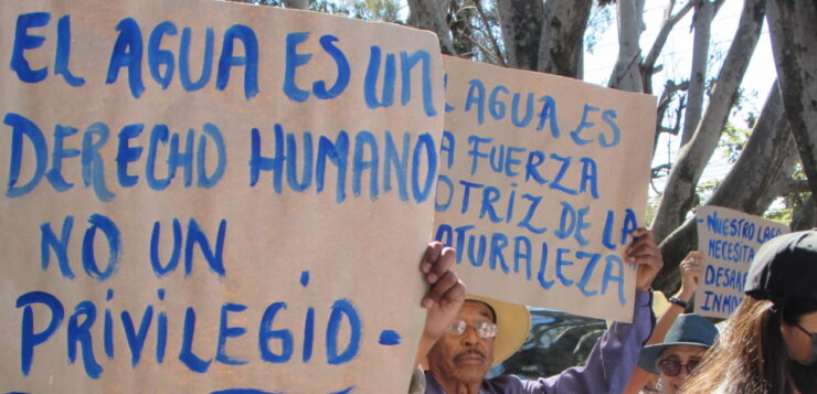 Activists march for water and the liberation of federal land in Ajijic