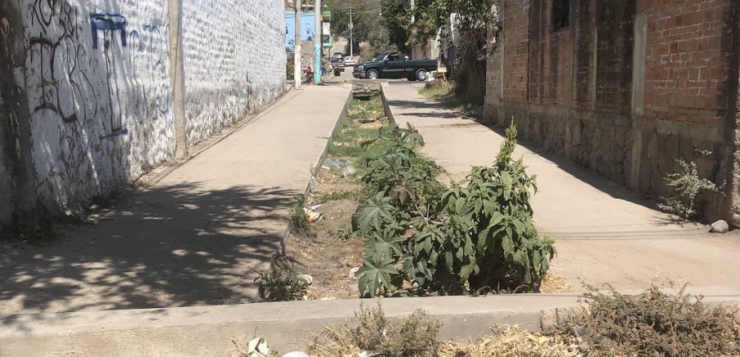 Residents request cleaning of Cuauhtémoc street canal