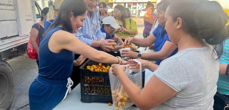 7,200 kilos of tomatoes given away in Chapala