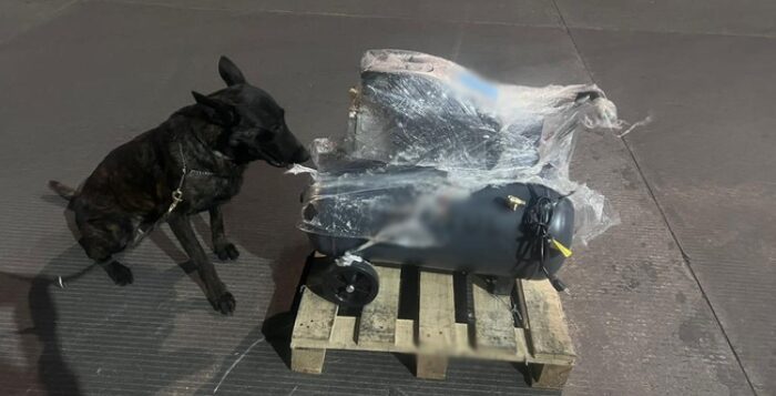Package with narcotics found in Ixtlahuacan de los Membrillos