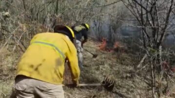 Caution requested during critical fire season