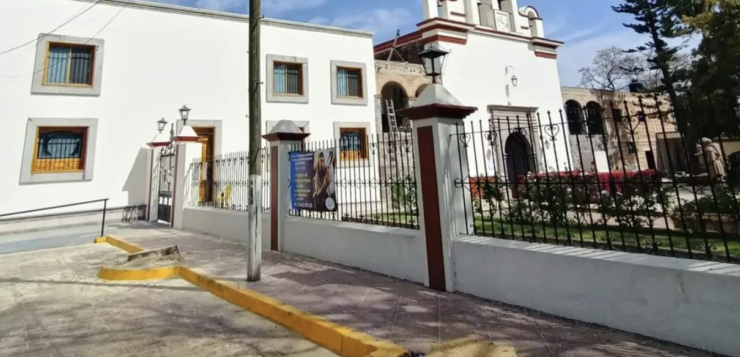 Two trees cut down next to the San Antonio Tlayacapan plaza