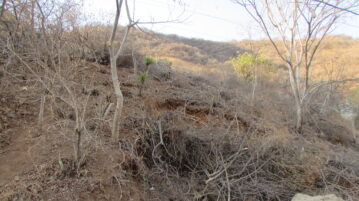 Indigenous Community investigates illegal logging La Crucita Hill