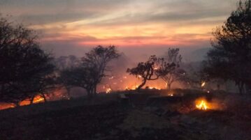 4-Day fire in Mezcala consumes 500 hectares of land