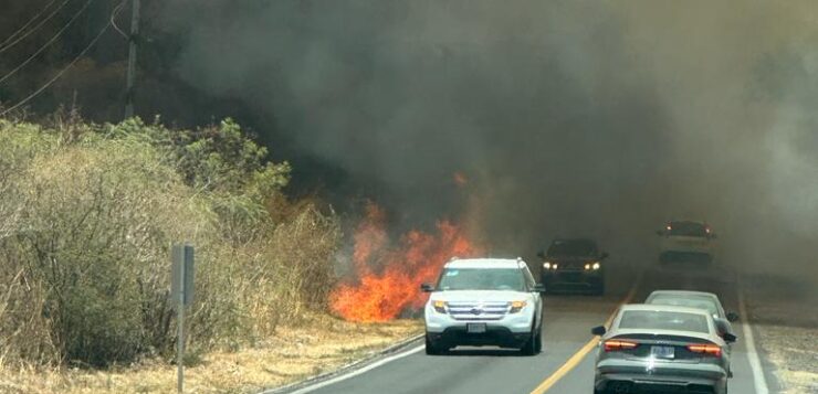 At least 1,500 hectares in Chapala have been burned in fires