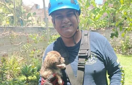 Dog rescued after falling into a well