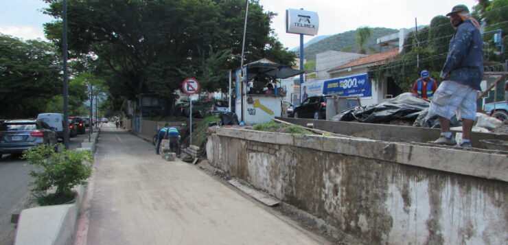 Rain collapses retaining wall, delaying replacement of cut trees