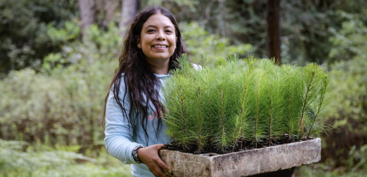 Jalisco celebrates its forests with the care of Natural Protected Areas