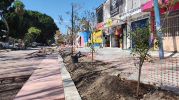 251 trees to be planted on Madero Avenue in Chapala