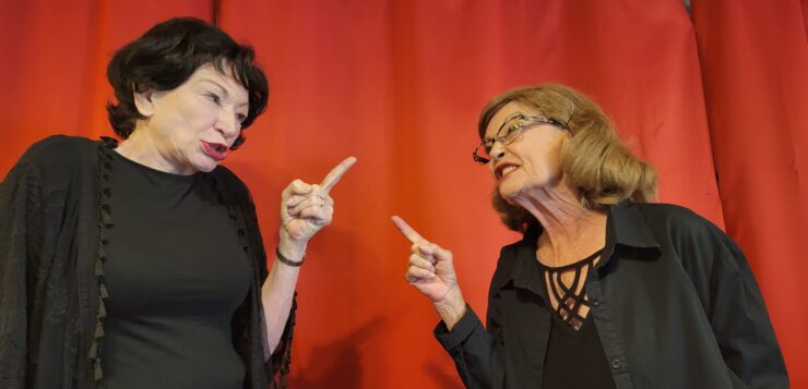 Bette & Joan at The Bare Stage: a brilliantly acted nuanced character study