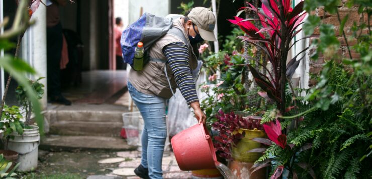 Another recorded case of dengue in Jocotepec