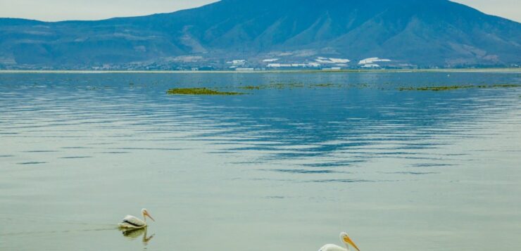 Understanding the level of Lake Chapala from official reports