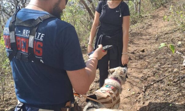 Emergency workers rescue lost hiker