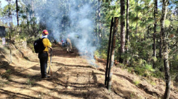 Jalisco forecast to have critical forest fire season