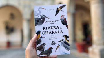 Guide to the Birds of La Ribera to be presented in Ajijic March 3