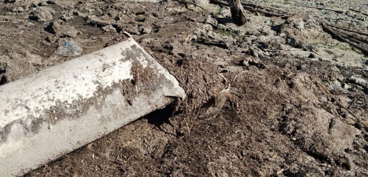 Wastewater running directly into Lake Chapala from exposed pipes