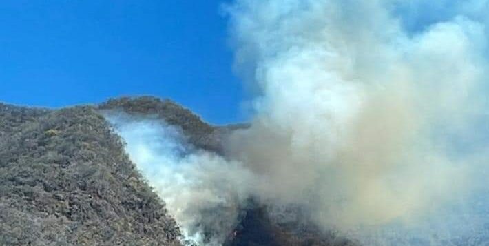 Fire season begins in Jalisco with several blazes