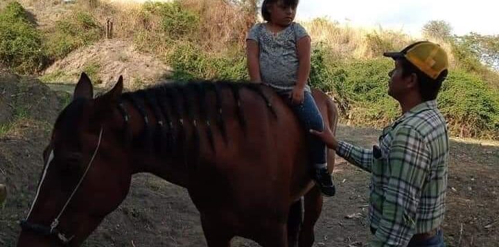 Therapist seeks place for children’s equine therapies in Chapala