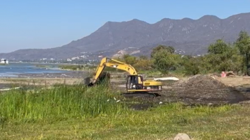 They denounce the depredation of wetlands in Lake Chapala