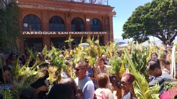 Crowds of Chapala faithful have palms blessed at midday masses