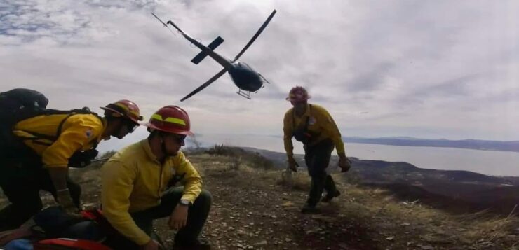 New firefighting program reduces forest fire damage