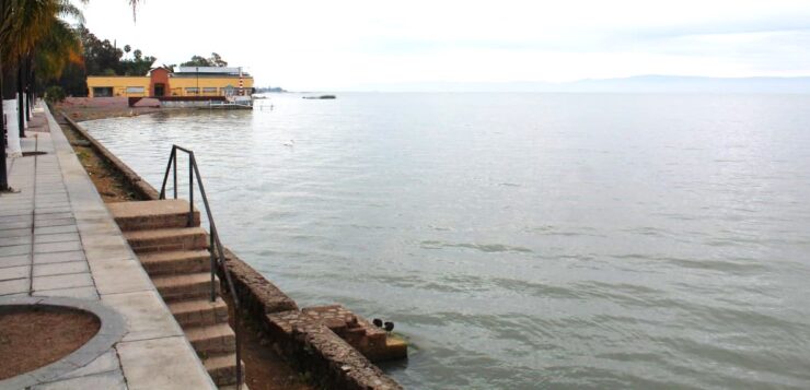 Limnology Institute: Lake Chapala will partially recover this year