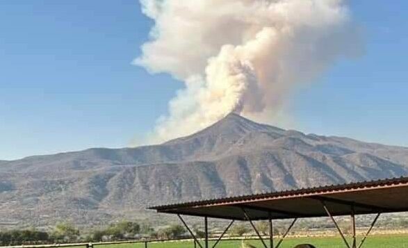 Forest fire again attacks Mt. García
