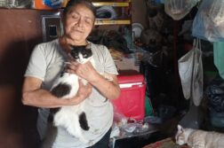 Shop owner seeks support to feed her cats