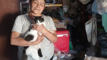 Shop owner seeks support to feed her cats
