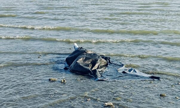 Man drowns in Lake Chapala