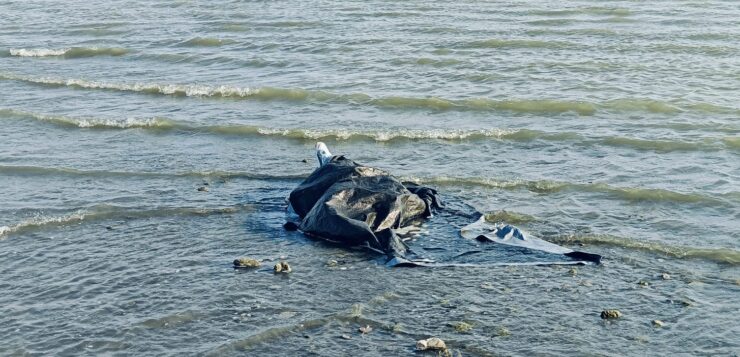 Man drowns in Lake Chapala